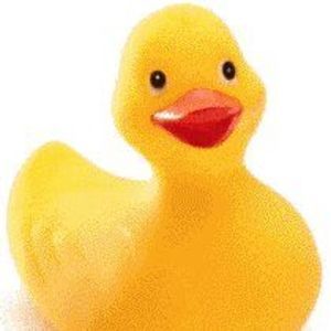 Meet your Posher, Vina